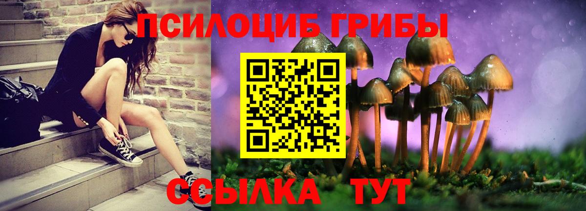 Курчатов  Псилоцибиновые грибы Psilocybine cubensis  Вход с VPN  Галлюциногенные грибы прущие грибы 